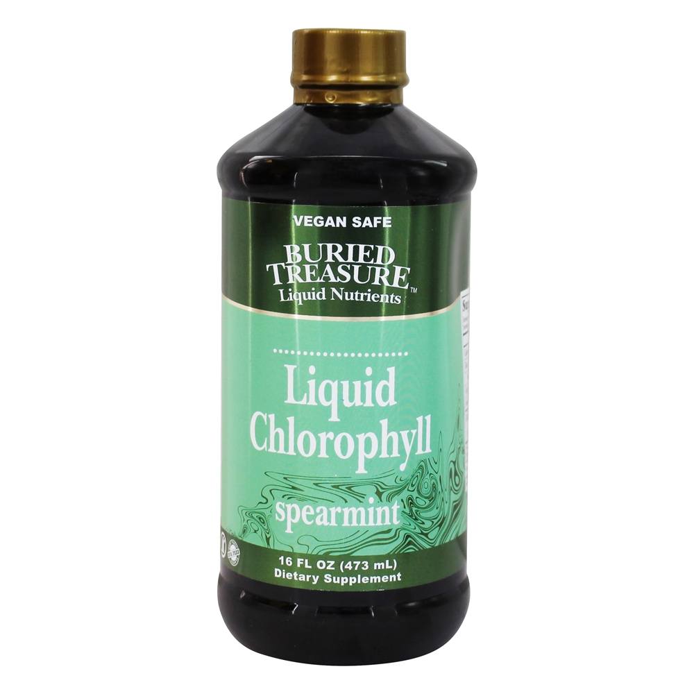 Buried Treasure Products - Liquid Chlorophyll Spearmint - 16 fl. oz.