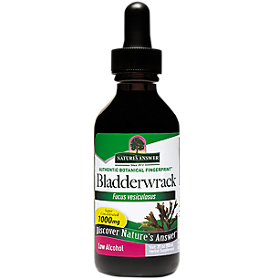 Bladderwrack - Super Concentrated with Low Alcohol - 1,000 MG Per Serving (2 fl oz)