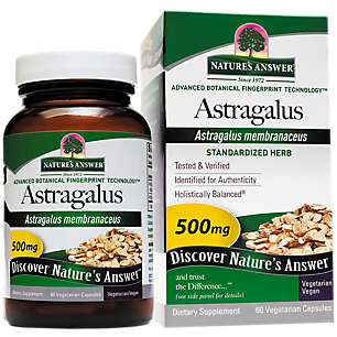 Astragalus - Standardized Herb - 250 MG of Root Extract - 500 MG per Serving (60 Vegetarian Capsules)