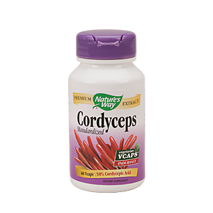 Cordyceps