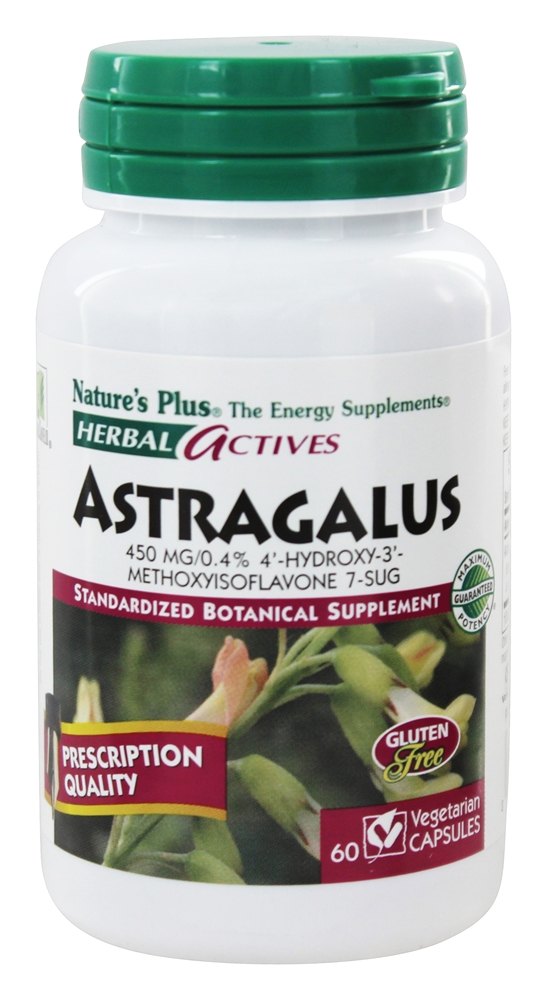 Natures Plus - Herbal Actives Astragalus 450 mg. - 60 Vegetarian Capsules