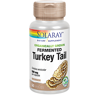 Organically Grown Fermented Turkey Tail Mushroom - 500 MG (60 Vegetable Capsules)