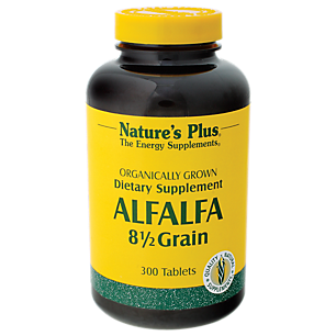 Alfalfa