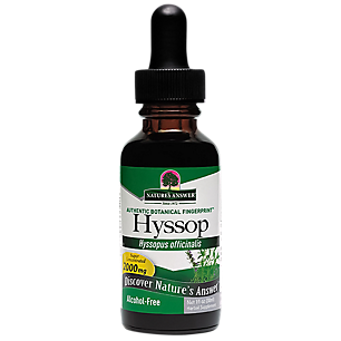 Hyssop - Super Concentrated & Alcohol Free - 2,000 MG Per Serving (1 fl oz)