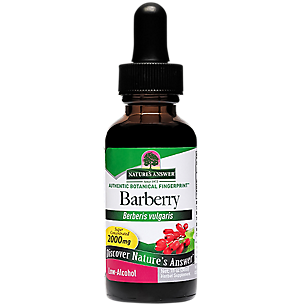 Barberry - Super Concentrated with Low Alcohol - 2,000 MG Per Serving (1 fl oz)