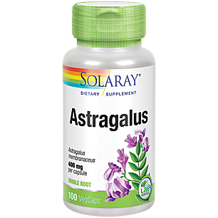 Astragalus - 400 MG (100 Capsules)