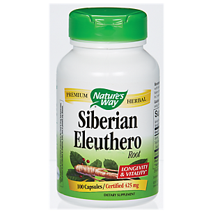 Siberian Eleuthero