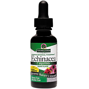 Echinacea - Super Concentrated & Alcohol Free Grape Flavor - 1,000 MG (1 Fluid Ounce)