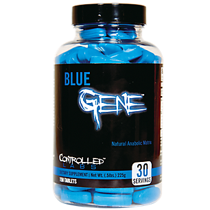 Blue Gene