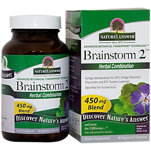 Brainstorm 2