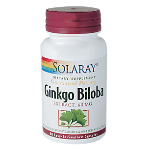 Ginkgo Biloba Extract - 60 MG (90 Vegetarian Capsules)