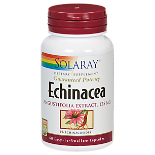 Echinacea