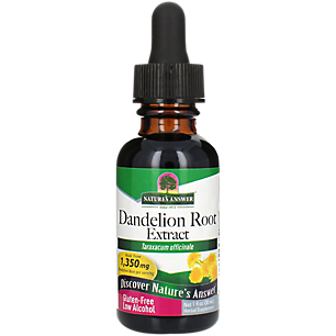 Dandelion Root Extract - Promotes Healthy Digestion - 1,350 MG Per Serving (1 fl oz)