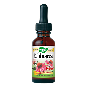 Echinacea Herb Glycerite
