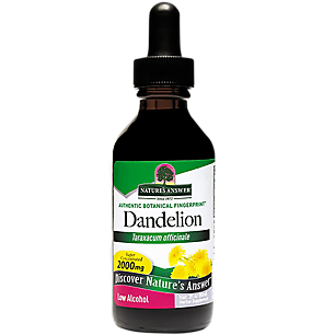 Dandelion - Super Concentrated with Low Alcohol - 2,000 MG Per Serving (2 fl oz)