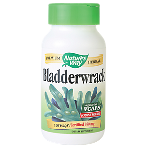 Bladderwrack