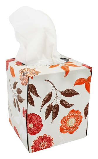 Natural Value - 100 Recycled Facial Tissues 2-Ply - 85 Tissue(s)