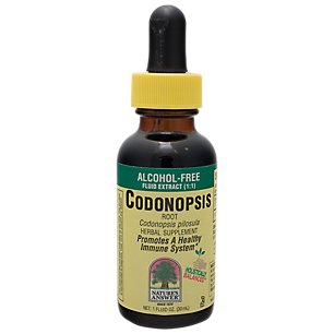 Codonopsis