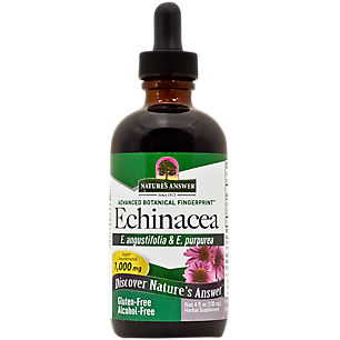 Echinacea - Super Concentrated & Alcohol Free - 1,000 MG (4 Fluid Ounces)