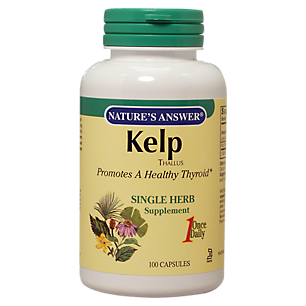 Kelp Thallus