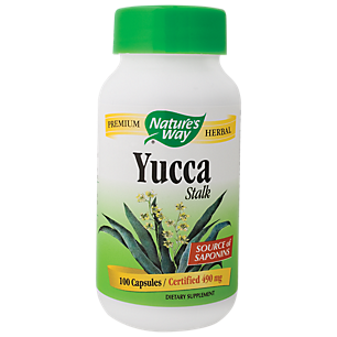 Yucca Stalk