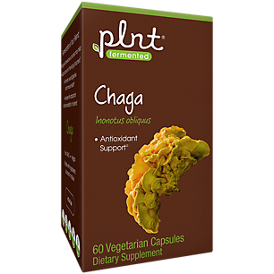 Fermented Chaga - Antioxidant Support - 500 MG (60 Vegetarian Capsules)
