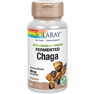Organically Grown Fermented Chaga Mushroom - 500 MG (60 Vegetable Capsules)