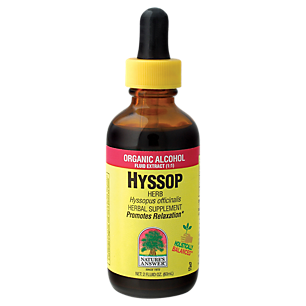 Hyssop Herb