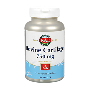 Bovine Cartilage