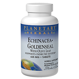 Echin-Golden w/Olive Leaf