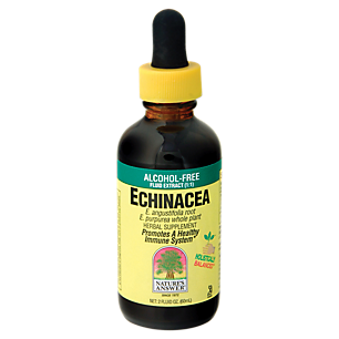 Echinacea - Alcohol Free - 500 MG (2 Fluid Ounces)