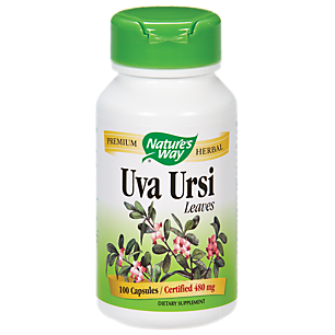 Uva Ursi Leaves