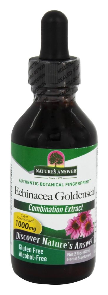 Nature's Answer - Echinacea & GoldenSeal Alcohol Free - 2 fl. oz.