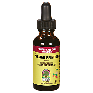 Evening Primrose