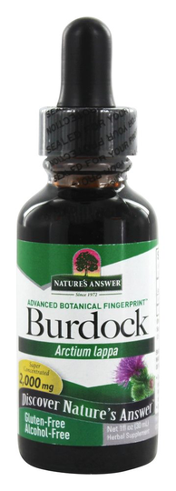 Nature's Answer - Burdock Root Alcohol Free - 1 fl. oz.
