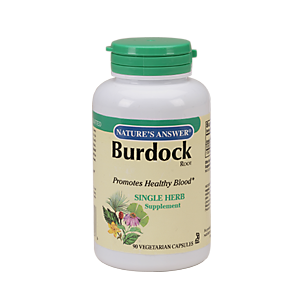 Burdock Root