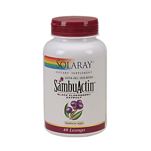 Sambuactin Elderberry Extract