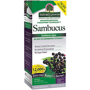 Sambucus Black Elderberry Extract - Super Concentrated & Alcohol Free - 12,000 MG (4 Fluid Ounces)