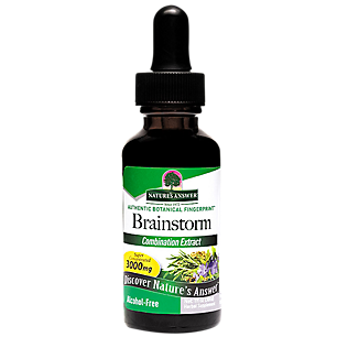Brainstorm