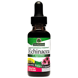 Echinacea - Super Concentrated with Low Alcohol - 1,000 MG (1 Fluid Ounce)