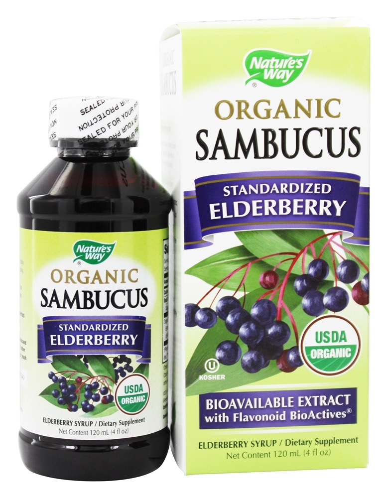 Nature's Way - Organic Sambucus Syrup Elderberry - 4 fl. oz.