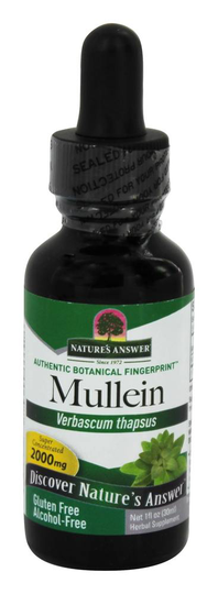 Nature's Answer - Mullein Leaf Alcohol Free - 1 fl. oz.