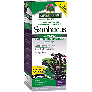 Sambucus Black Elderberry Extract Syrup - Alcohol Free (8 Fluid Ounces)