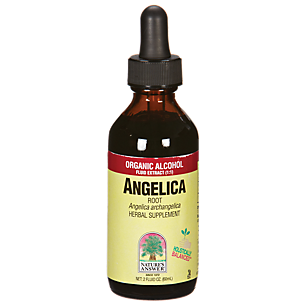 Angelica Root - Super Concentrated with Low Alcohol - 4,000 MG (2 Fluid Ounces)