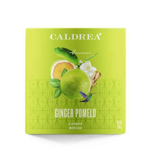 Caldrea - Candle Bougie Ginger Pomelo - 8.1 oz.