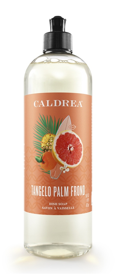 Caldrea - Dish Soap Tangelo Palm Frond - 16 fl. oz.