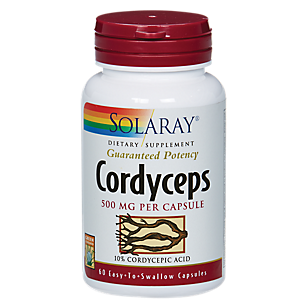 Cordyceps