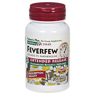 Feverfew