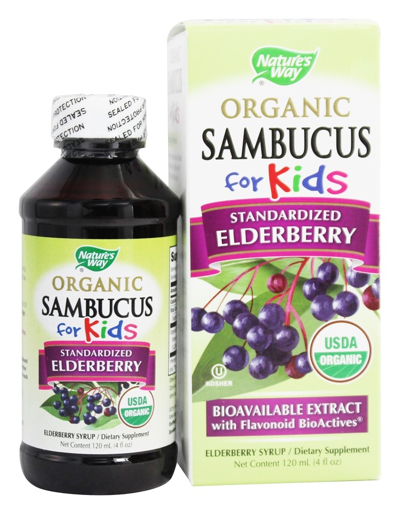 Nature's Way - Organic Sambucus for Kids Syrup Elderberry - 4 fl. oz.