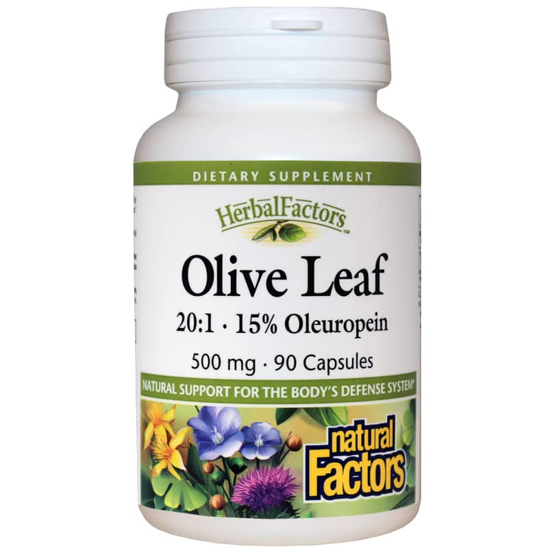 Natural Factors Olive Leaf 500 Mg 90 Capsules